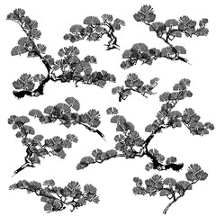 Pine tree drawn using Japanese painting techniques,