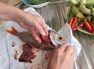 Anonymous gutting fresh fish on paper in kitchen. Food and organic seafood.