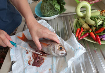 Anonymous gutting fresh fish on paper in kitchen. Food and organic seafood.