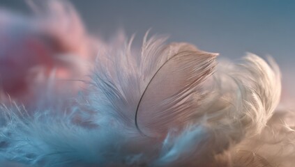 Obraz premium Delicate feather details in soft pastel tones.