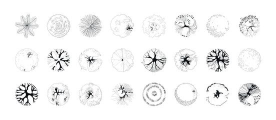 Tree top view line illustrations, perfect treetop for architectural plans, landscape design, and urban planning projects. Collection of trees for master plans and vertical layout