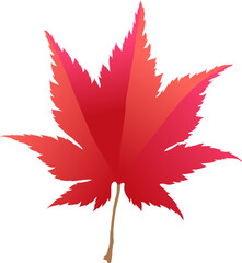 Hand-drawn autumn colored red fall maple leaf isolated on white background. Flat style vector illustration.