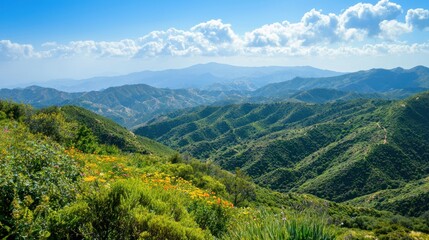 Naklejka premium A mountain range with slopes covered in rich green vegetation, dotted with colorful wildflowers.
