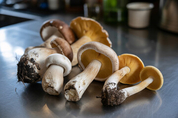 Different sized wild mushrooms spread on kitchen counter after collecting. Highlights natural foraging and fresh ingredients for cooking