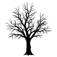 Obraz premium Silhouette of a bare tree with intricate branches against a white background.