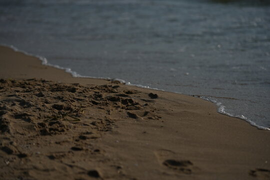 sea shore with wave breaking on the beach gentle sea wave breaking on a sandy shoreline. peaceful coastal scene with soft water movement and natural textures. perfect for themes of relaxation