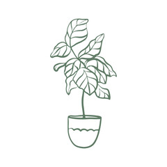 Fototapeta premium Floor indoor flower in a pot. Illustration of a house plant in doodle style. Vector icon in green color