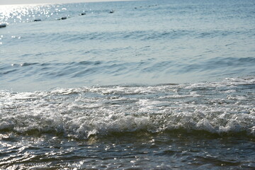 Calm sea waves rolling onto the shore under soft morning light. Gentle ocean surface with small ripples and a peaceful horizon Serene coastal scene perfect for themes of nature, relaxation, and summer