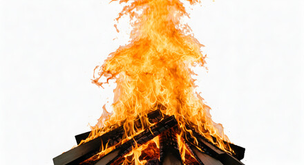 burning fire in the fireplace