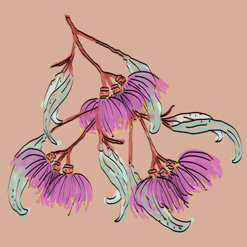 Close up hand drawn pink gum flowers, red stems and green leaves