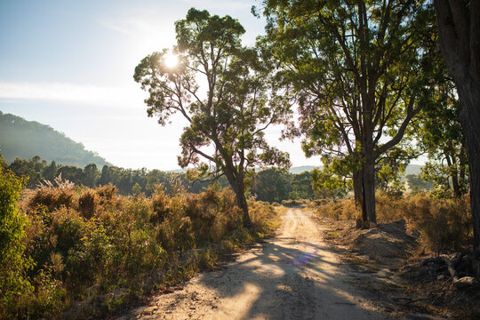 Rugged dirt track in rural Australia with sun rising over the landscape