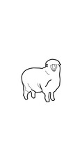 vector illustration of a sheep
