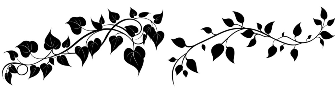 Wedding invitations or announcements boast a modern design with a yellow background and a floral nature pattern of blue hand drawn ivy and vines with leaves climbing the border