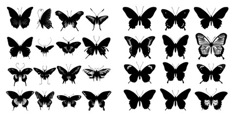 Fototapeta premium The illustrations feature black pictures of butterflies, highlighting their beautiful and amusing nature as insects