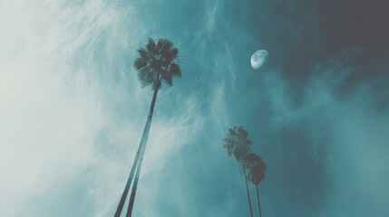 Palm trees against a twilight sky, moon visible