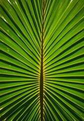 Close-up of a Vibrant Green Palm Leaf Texture