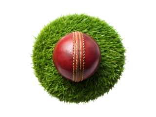 top view of cricket ball on grass png image on transparent background