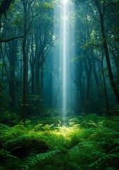 Obraz premium Sunbeam Illuminating Lush Green Forest