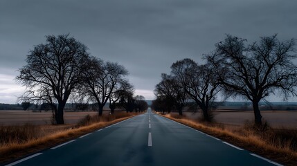 Country road in winter with no snow and dry trees