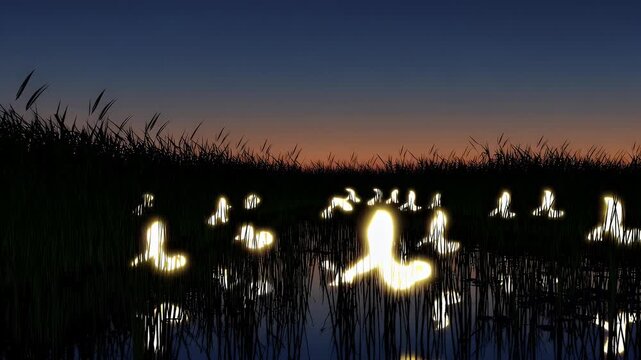 eerie atmospheric 4K animation flickering will o&rsquo; the wisps floating marshland night adding mystical charm mystery to nature inspired fantasy themed