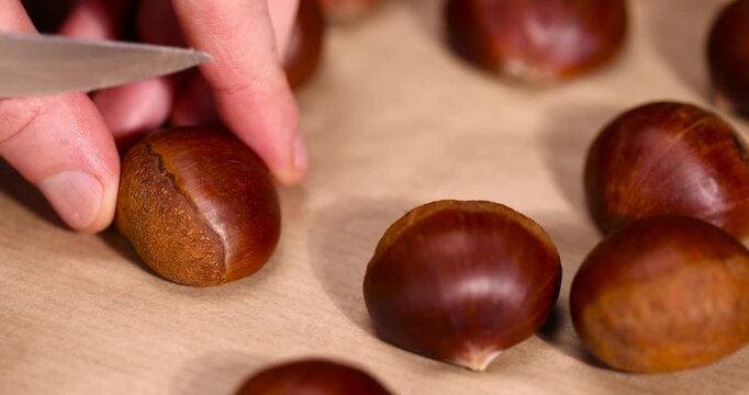 cut edible Asian chestnut fruits for frying or baking , preparation by cutting the shells of edible chestnut nuts for baking