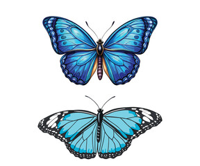 Obraz premium colorful and black butterfly logo icons and silhouettes