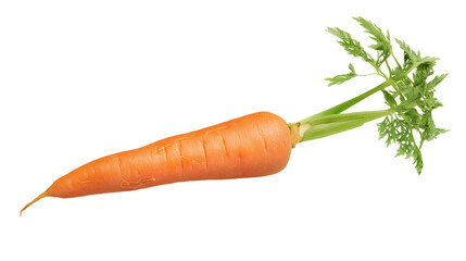 bunch of carrots on Transparent Background