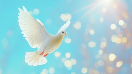 Fototapeta premium White dove soaring gracefully against a embodying blue sky, blurred peace, hope, and spirituality