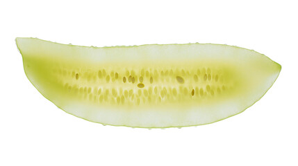 slice of cucumber