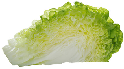 cabbage isolated on Transparent Background