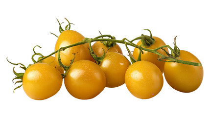 Sweet Yellow Tomatoes on Transparent Background