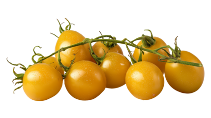Sweet Yellow Tomatoes on Transparent Background