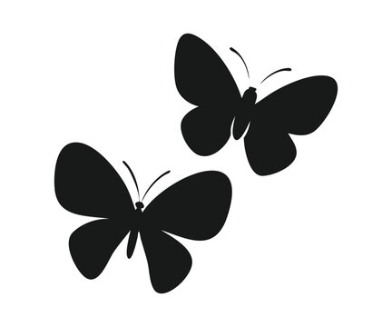 butterfly silhouettes and icon vector set