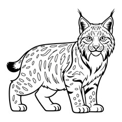 A black and white lynx illustration vector style coloring page © siful art