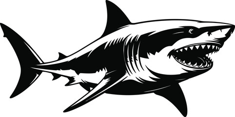 Fierce shark open mouth sharp teeth great white shark