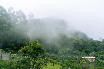 Cloudy morning in Kodaikanal showcases lush greenery and serene landscape beauty of the hill station