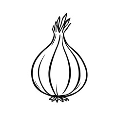 Fresh onion, a healthy raw vegetable, isolated on a white background