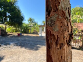 Close-up of a weathered wooden post with visible textures and cracks, set in an outdoor yard with trees and clear blue sky in the background.