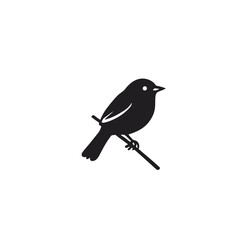 Obraz premium Blackbird perched on a winter branch, isolated against a white background, perfect for a nature or wildlife illustration