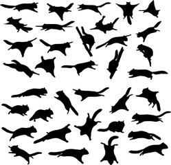 A collection of black silhouette illustrations depicting various poses and actions of flying squirrels against a white background.