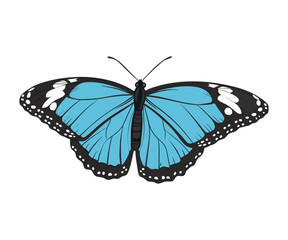 colorful and black butterfly logo icons and silhouettes