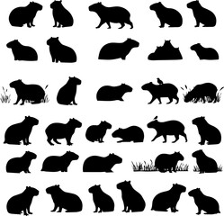A collection of capybara silhouettes in various poses, including standing, sitting, and lying down, some with birds perched on them, set against a white background.