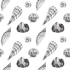 Marine pattern with graphic shells on white background, sketchy hand drawn illustrations