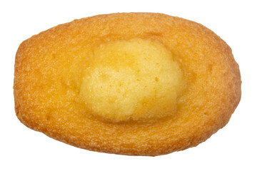 Madeleine isolé sur un fond blanc