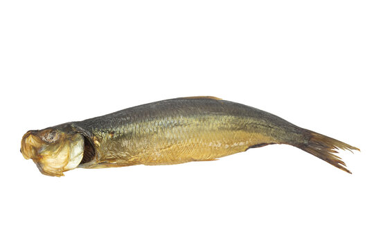 kippers isol&eacute; sur un fond blanc