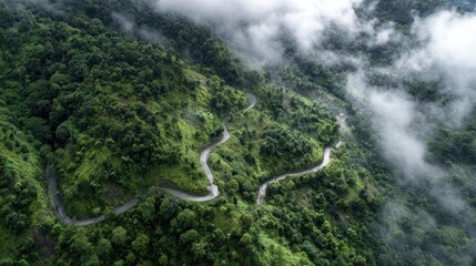 photo of Aerial view of a winding mountain road surrounded by fog and lush green forest. 