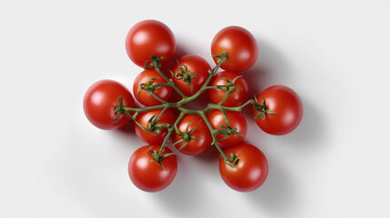 tomatoes on a vine