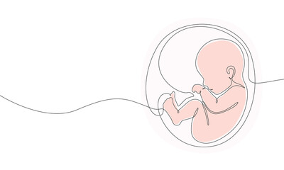 Baby embryo in womb one line drawing. Cute unborn fetus baby on mother womb isolated on white background, Baby embryo in womb in one continuous line drawing. Healthy pregnancy and premature symbol