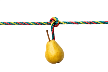  minimalist pear on colorful rope isolated on white background PNG, AI GENERATED