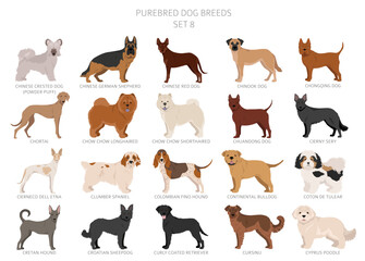 Collection of all dog breeds. Collection in 28 sets. Realistic image of dog breeds with different coat colors. Vector illustration